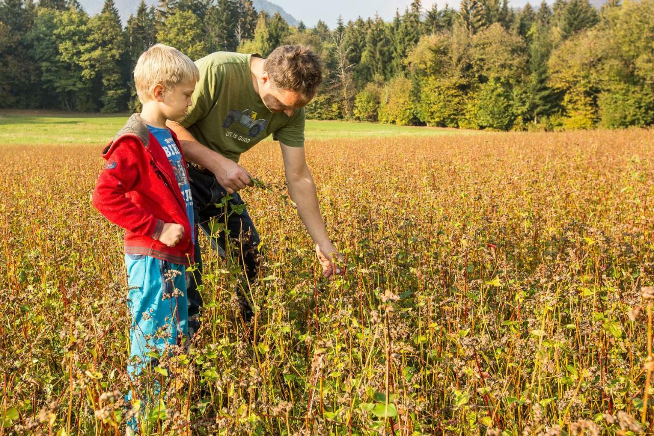 Glamping Organic Farm Slibar Βίλα Tržič Εξωτερικό φωτογραφία